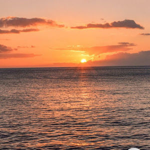 Meet your Posher, Isabella